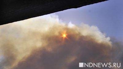 Два вертолёта тушат крупный пожар на складе Ozon в Подмосковье